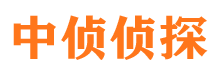 丰泽寻人公司